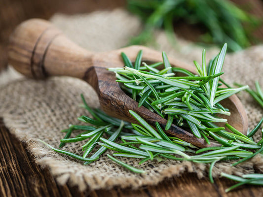 Rosemary: Nature’s Powerhouse for Stronger, Healthier Hair
