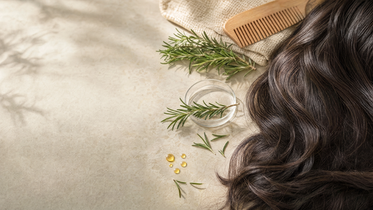 Rosemary for Hair: How to Use Rosemary Oil in a Balanced Hair Care Routine