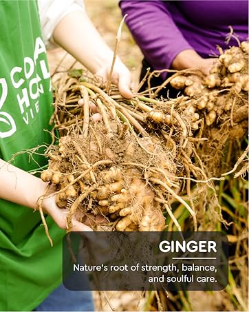 Citrus Ginger Body Wash